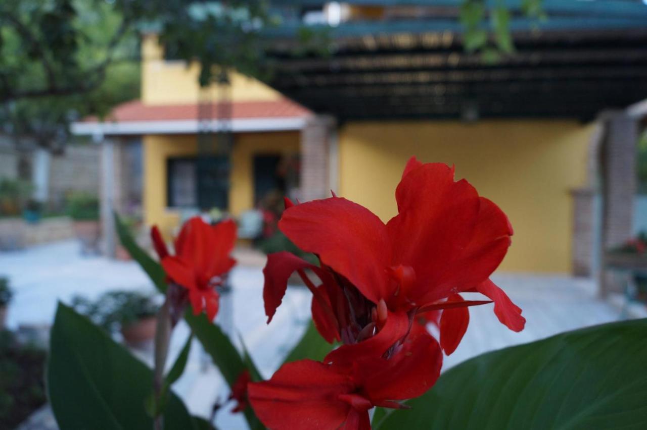 Villa Sofia Parga Exterior photo